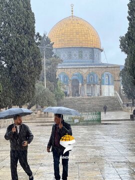 Photos: Despite cold winter and rainy weather... Worshipers performed noon prayer at blessed Al-Aqsa Mosque