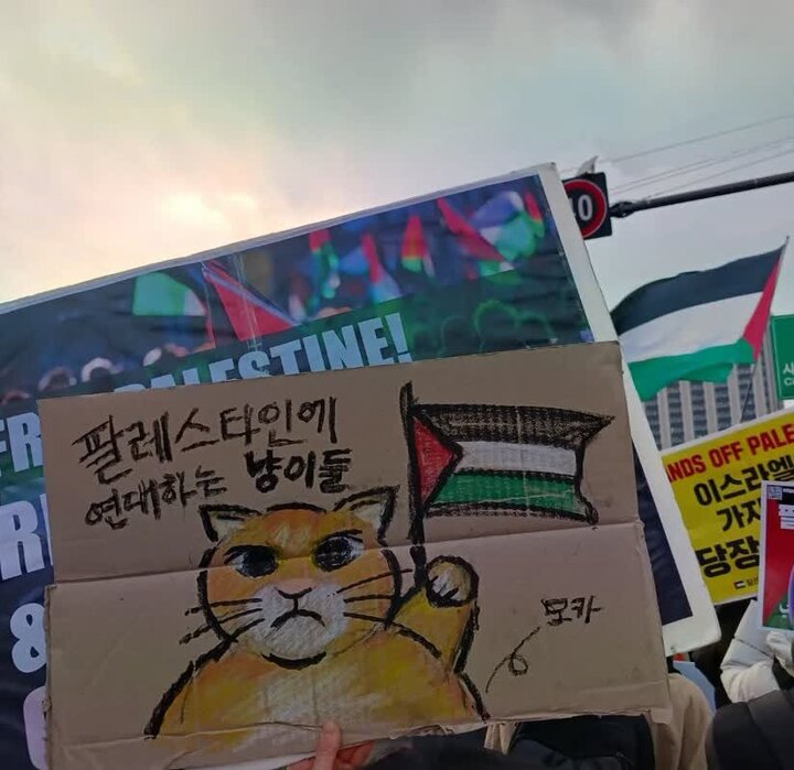 Photos: Solidarity rally with Palestinian people held in South Korean capital