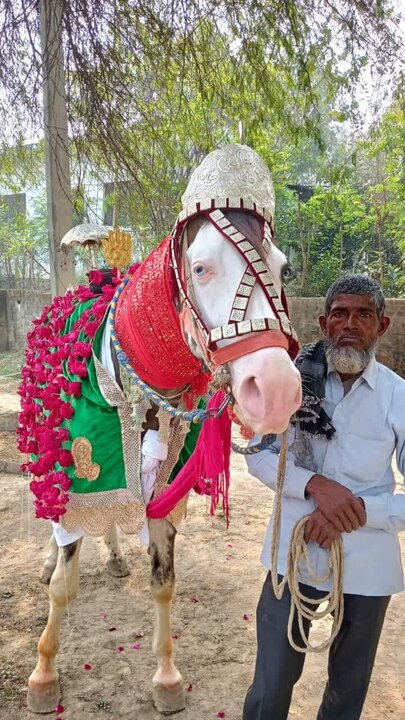 Photos: Commemoration of historic movement of Imam Hussain from Medina to Karbala held in Lucknow, India