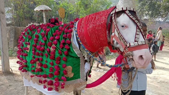 Photos: Commemoration of historic movement of Imam Hussain from Medina to Karbala held in Lucknow, India