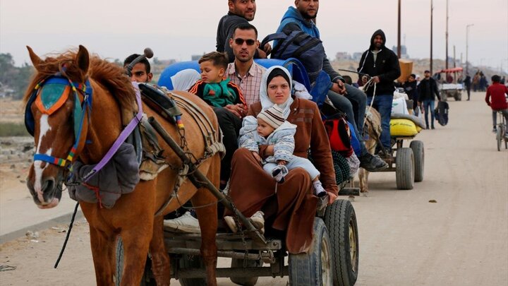 تقرير مصور/ آلاف الفلسطينيين يعودون من الجنوب إلى شمال قطاع غزة