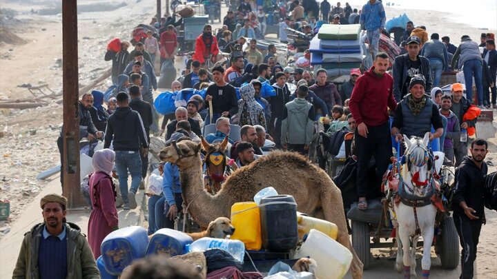 تقرير مصور/ آلاف الفلسطينيين يعودون من الجنوب إلى شمال قطاع غزة