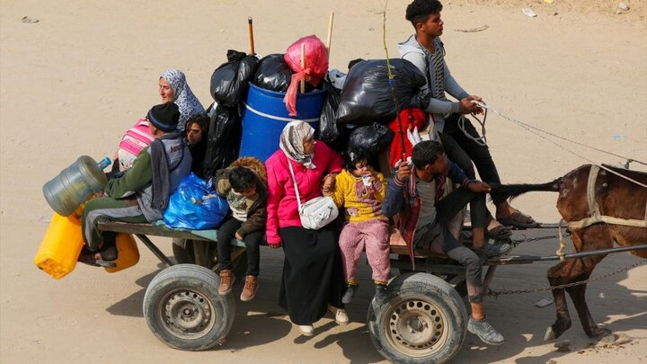 تقرير مصور/ آلاف الفلسطينيين يعودون من الجنوب إلى شمال قطاع غزة