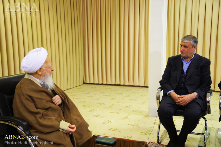 دیدار رئیس سازمان انرژی اتمی با مراجع