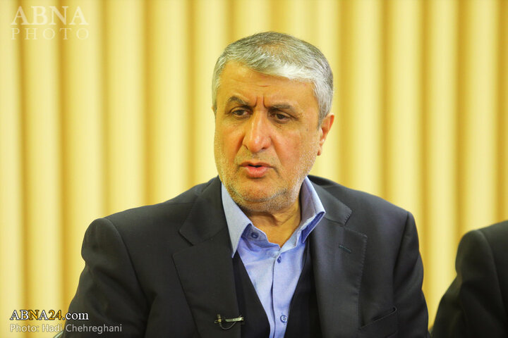 دیدار رئیس سازمان انرژی اتمی با مراجع