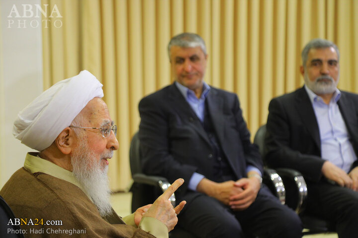 دیدار رئیس سازمان انرژی اتمی با مراجع