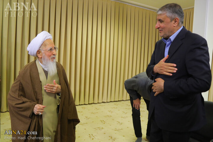 دیدار رئیس سازمان انرژی اتمی با مراجع