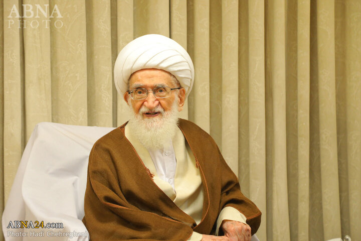 دیدار رئیس سازمان انرژی اتمی با مراجع