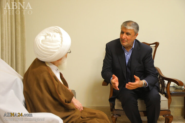 دیدار رئیس سازمان انرژی اتمی با مراجع