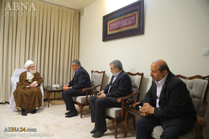 دیدار رئیس سازمان انرژی اتمی با مراجع