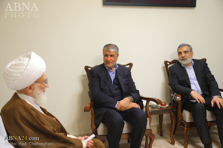 دیدار رئیس سازمان انرژی اتمی با مراجع