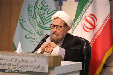 شریعتی سبزواری: فقه و زهد، ارکان اصلی اصلاح فردی و اجتماعی در اسلام است