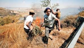 Extremist Jewish settlers attack Palestinian homes, damage property in West Bank