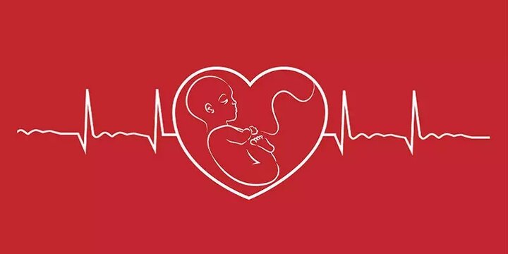 آیا سقط جنین در اسلام حرام است؟ نگاهی به فتاوای مراجع
