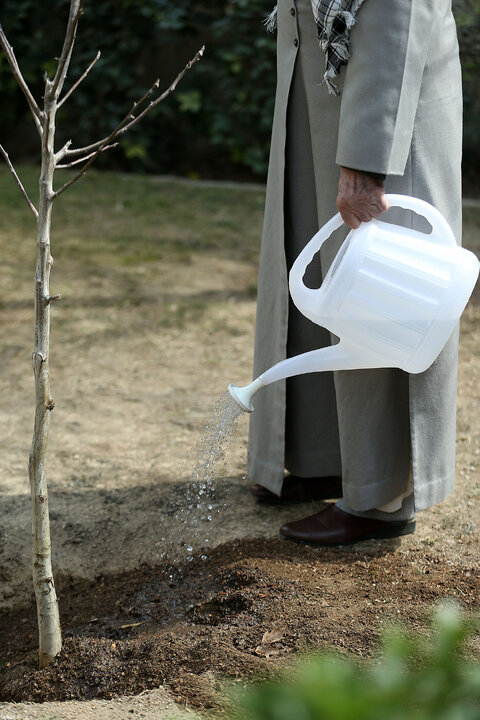 کاشت سه اصله نهال توسط رهبر انقلاب در روز درختکاری