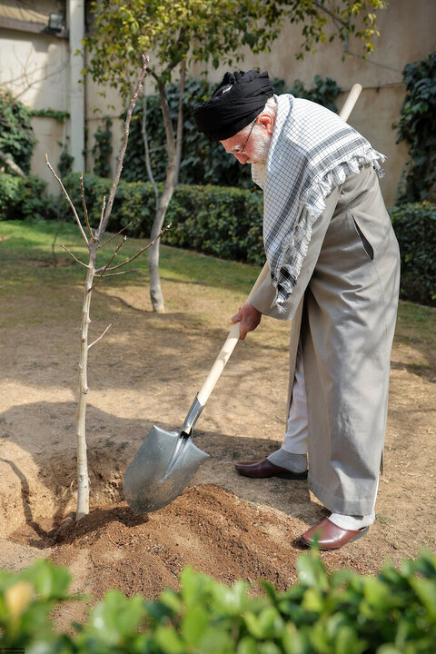 Photos: Imam Khamenei planted saplings on National Tree Planting Day