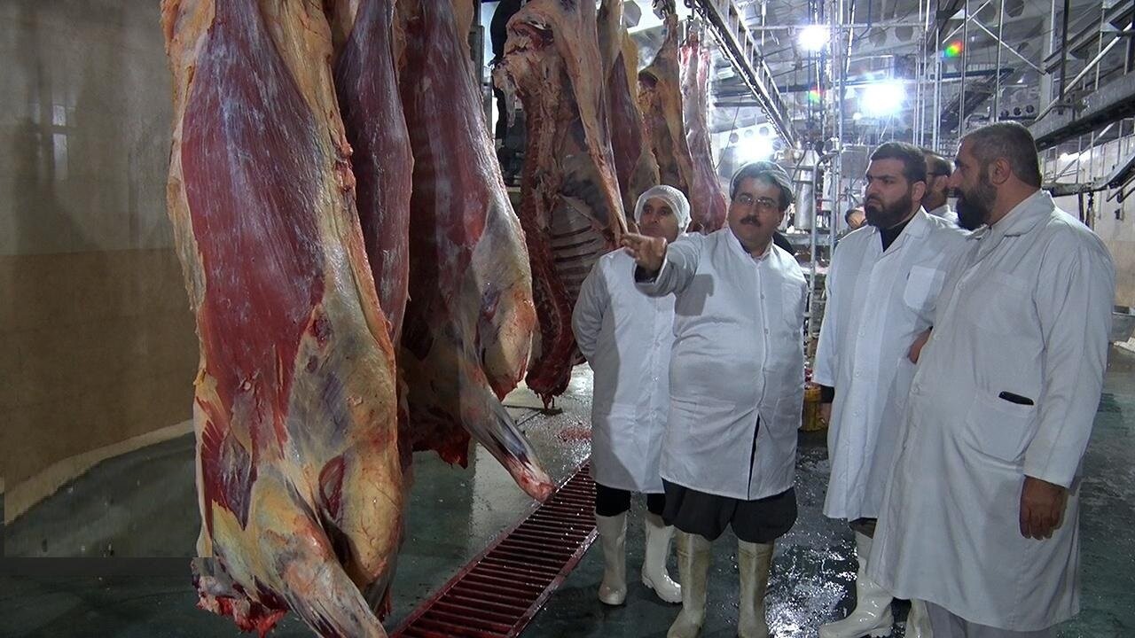 چطور ذبح شرعی بر کیفیت گوشت تأثیر می‌گذارد؟