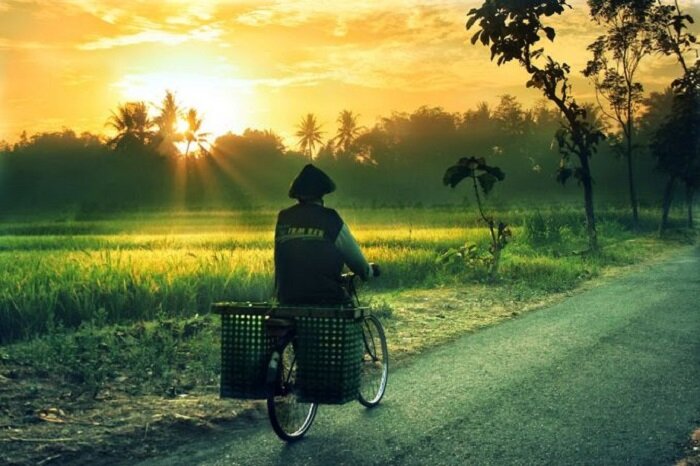 Bagaimanakah Pendapatan Halal Akan Mengubah Hidup Anda?