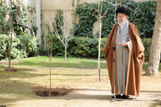 Imam Khamenei: Planting trees is a virtuous act