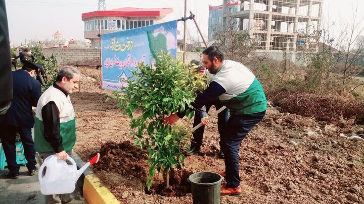 غرس بیش از 1000 اصله نهال توسط خادمیاران و یاوران رضوی در سراسر گیلان