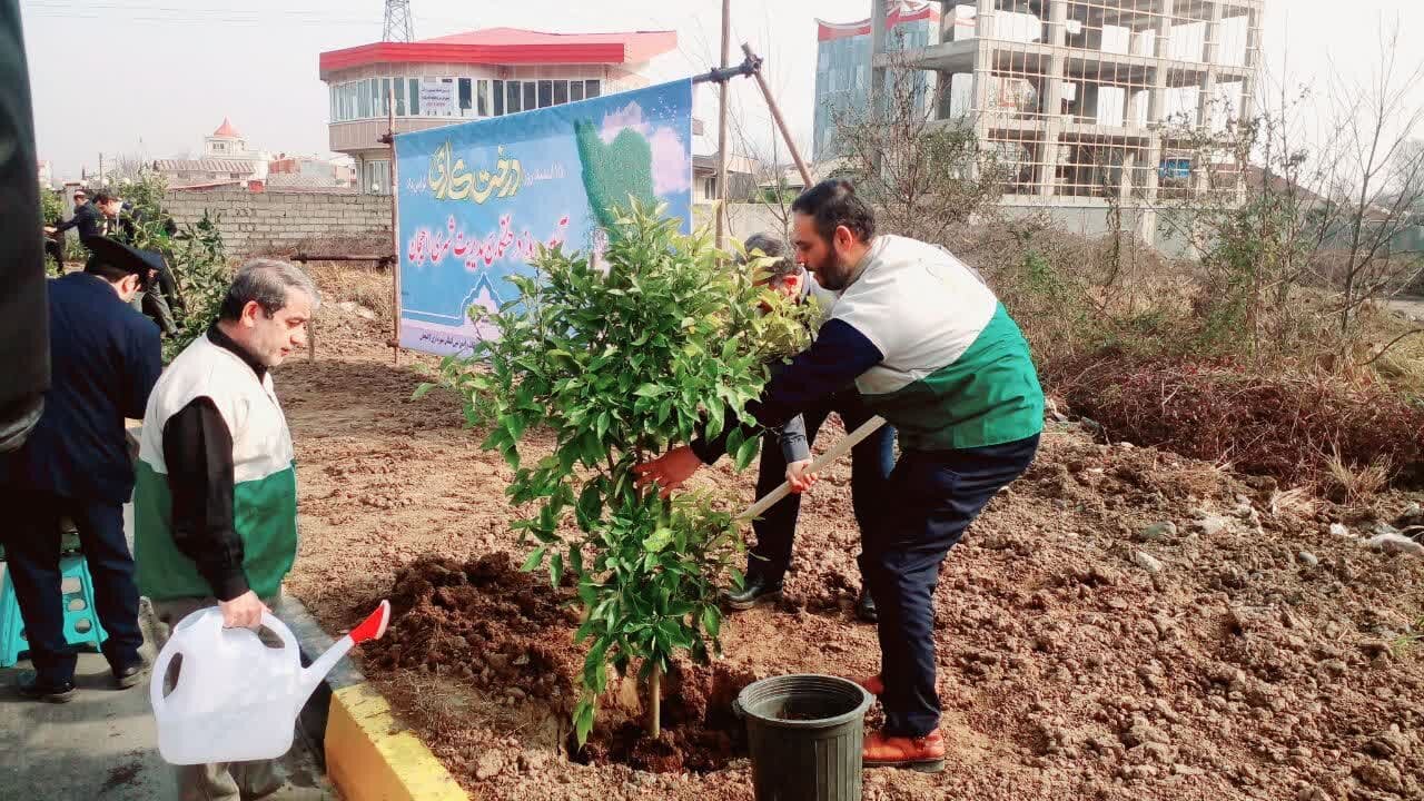 غرس بیش از 1000 اصله نهال توسط خادمیاران و یاوران رضوی در سراسر گیلان