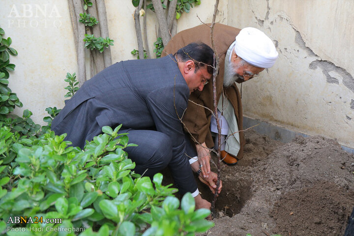 گزارش تصویری کاشت نهال