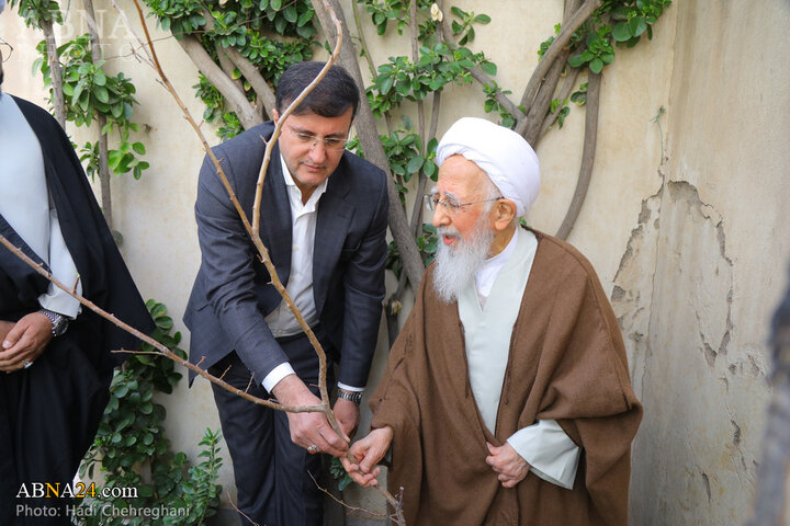 گزارش تصویری کاشت نهال