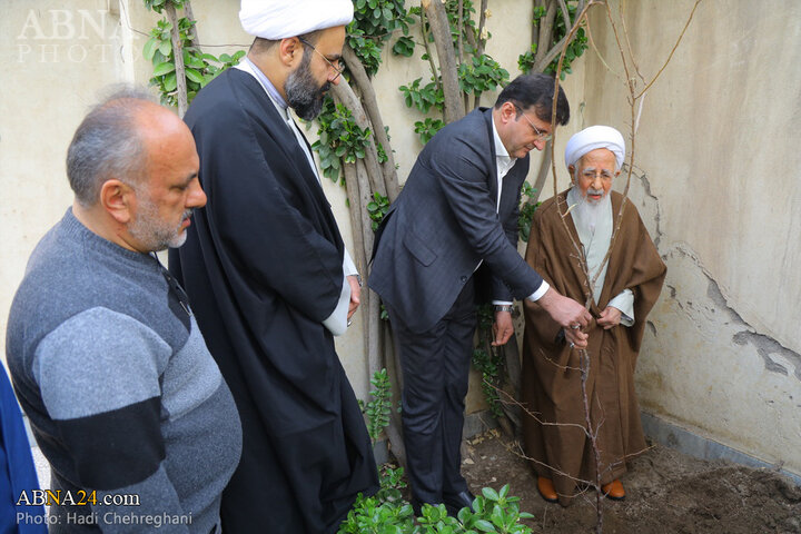 گزارش تصویری کاشت نهال