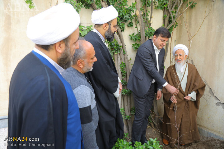 گزارش تصویری کاشت نهال