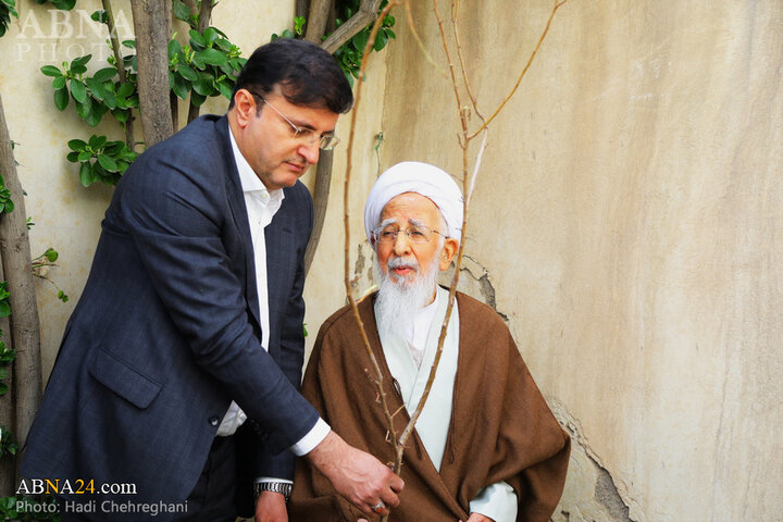 گزارش تصویری کاشت نهال