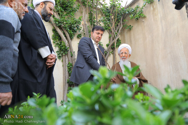 گزارش تصویری کاشت نهال