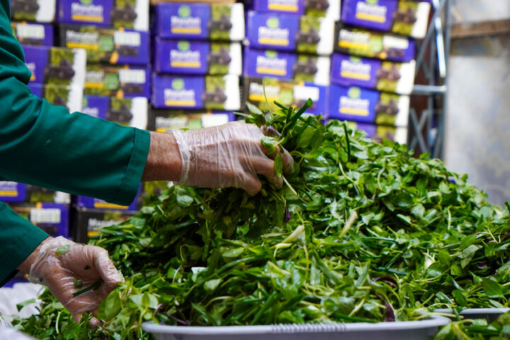 گزارش تصویری | بسته بندی و توزیع افطار سبک در چایخانه حضرت رضا علیه‌السلام