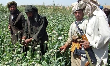 نشست بررسی کشت و قاچاق مواد مخدر در افغانستان از سوی سازمان ملل