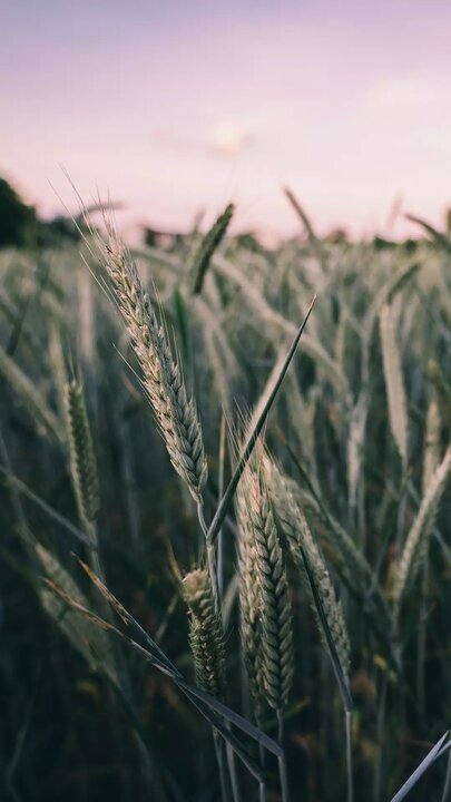 ویدیو | زندگی با آیه‌ها؛ نعمت خدا بی‌نهایت است، اگر شاکر باشیم