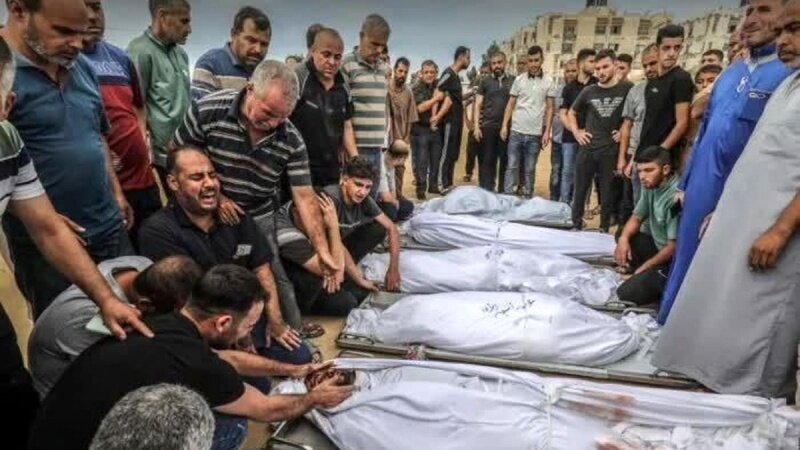 Ultimi dati del genocidio di Gaza (ultimo aggiornamento il 13 marzo): con 523 giorni (della guerra); 48,524 martiri, 111,955 feriti Ultimi dati del genocidio di Gaza (ultimo aggiornamento il 13 marzo): con 523 giorni (della guerra); 48,524 martiri, 111,955 feriti