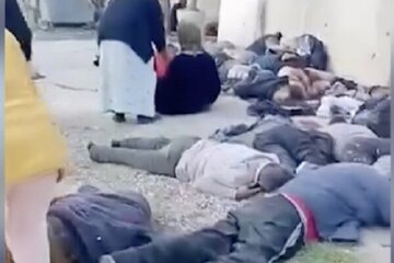 زاناکانی سووریا لەو وڵاتە هەڵدێن