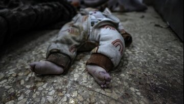 Zionistisches Regime setzt seine brutalen Angriffe auf Familien in Gaza fort, bisher 450 Märtyrer