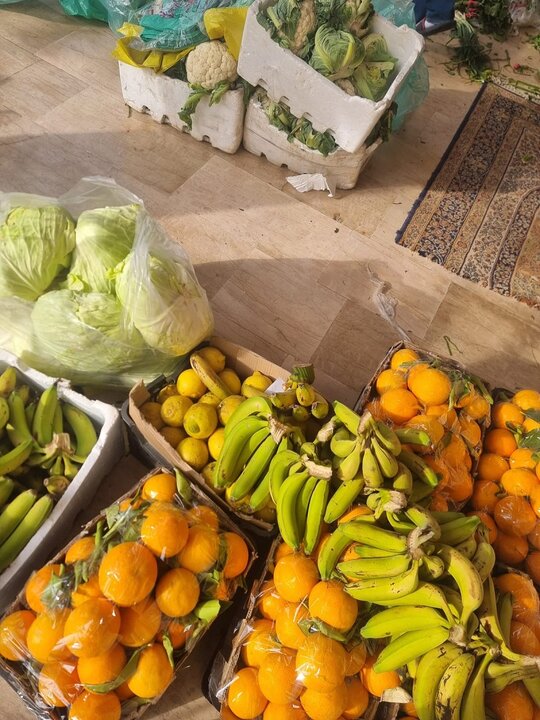 تقرير مصور/ حزب الله يدعم الأسر المحتاجة بنظام التكافل الاجتماعي بمناسبة شهر رمضان المبارك