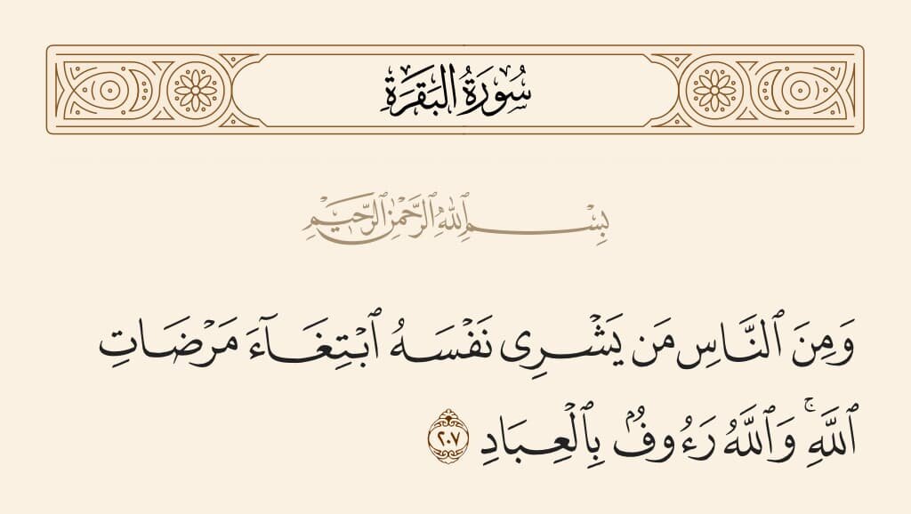 Elimu na Maarifa, Ibada na Ucha Mungu, Ujasiri na Ushujaa, na Upole na Huruma ya Imam Ali (a.s)