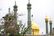 Gambar | Majlis Istimewa Malam Tahun Baru di Haram Hazrat Ma'sumeh AS