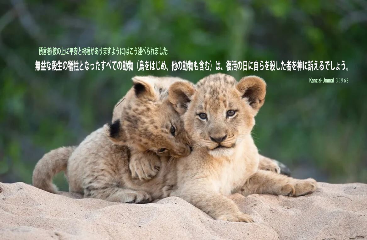 すべての命は尊い すべての命は尊い