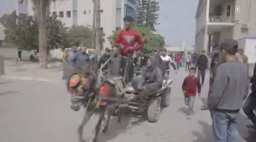 فيديو | مشاهد من مجزرة العدو الصهيوني في حي الشجاعية في قطاع غزة