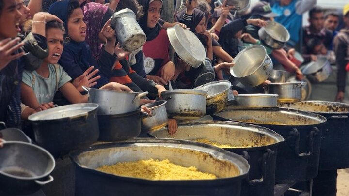 فلسطینی‌ها با گوشت لاک‌پشت‌ها در غزه با گرسنگی مقابله می‌کنند