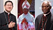 次期ローマ教皇はアフリカ出身者か、それともアジア出身者か？