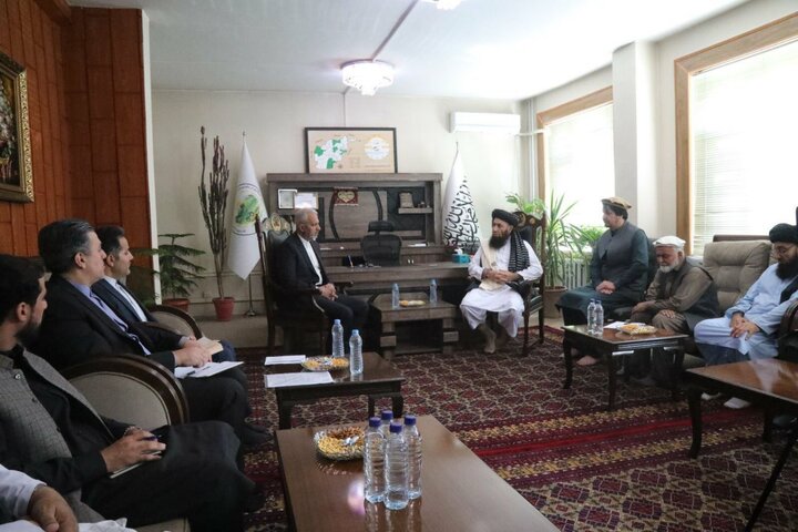 سفیر ایران در کابل: ترجیح می‌دهیم از افغانستان گوشت وارد کنیم