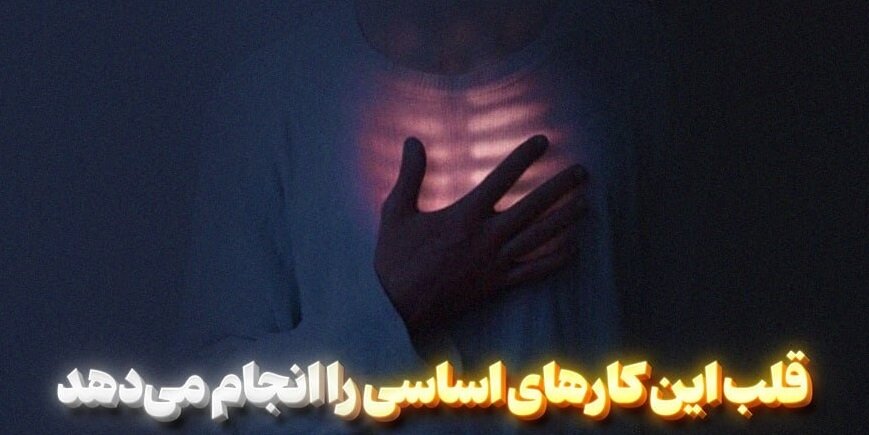 ۷ کار اساسی قلب در نهج‌البلاغه