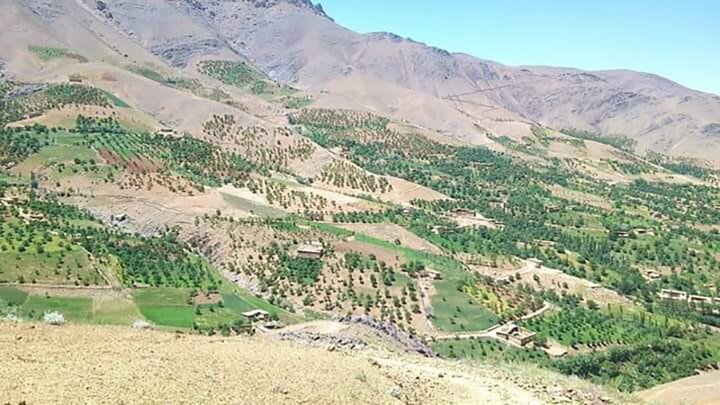 بی‌توجهی حکومت و بی‌مهری طبیعت در استان دایکندی افغانستان