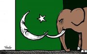 كاريكاتير / التصعيد بين الهند وباكستان