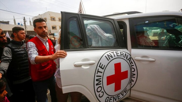 Photos: 12 Palestinians released from Israeli prisons