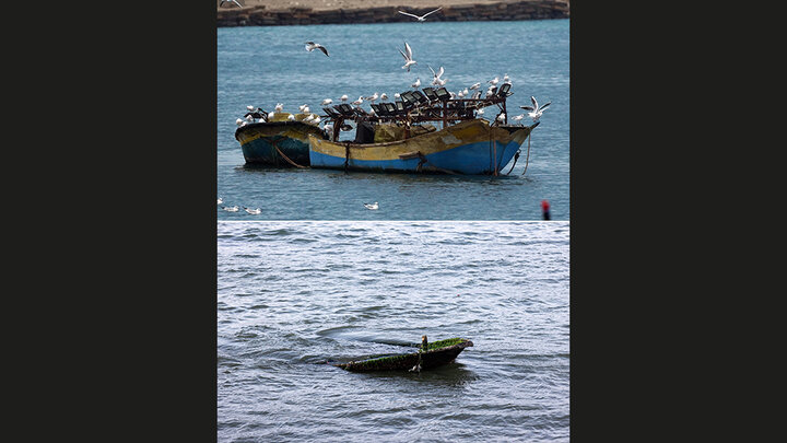 ویرانی در غزه، تصاویری از قبل و بعد از تخریب شهر